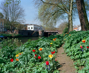 840271 Gezicht op een wandelpaadje omzoomd met bloeiende tulpen langs de Stadsbuitengracht bij de Weerdsingel O.Z. te ...